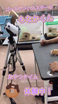 OCカメラサムネイル画像