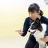 専門学校　福岡ビジョナリーアーツ 【ペット】  動物看護師× ドッグトレーナー2