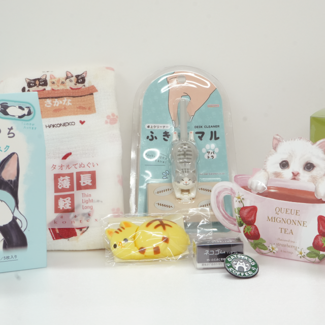 専門学校 福岡ビジネス・アカデミー 「かわいい」はなぜ売れる？価値で読み解く科学【猫の日】1