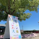 4/19　オープンキャンパスの詳細