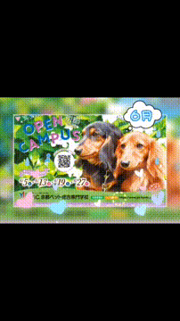 OCカメラサムネイル画像