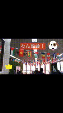 OCカメラサムネイル画像