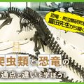 ＴＣＡ東京ＥＣＯ動物海洋専門学校 恐竜と爬虫類の共通点と違いについて学ぼう