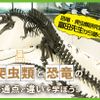 ＴＣＡ東京ＥＣＯ動物海洋専門学校 爬虫類好き必見！恐竜と爬虫類の共通点と違いについて学ぼう