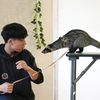 専門学校ビジョナリーアーツ エキゾチックアニマルのトレーニング！