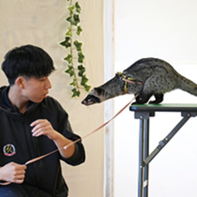 専門学校ビジョナリーアーツ エキゾチックアニマルのトレーニング！1