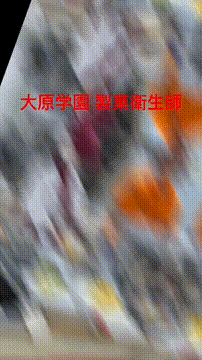 OCカメラサムネイル画像