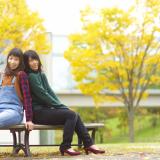 詳細を見る