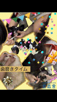 OCカメラサムネイル画像