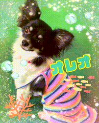 OCカメラサムネイル画像