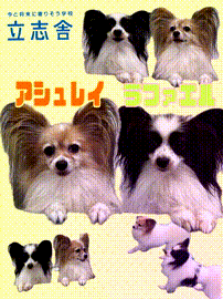 OCカメラサムネイル画像