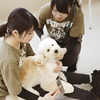 専門学校　福岡ビジョナリーアーツ 【ペット】高校2年生限定！ 担当犬を決めよう
