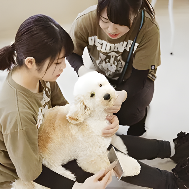 専門学校　福岡ビジョナリーアーツ 【ペット】高校2年生限定！ 担当犬を決めよう1