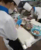 OCカメラサムネイル画像