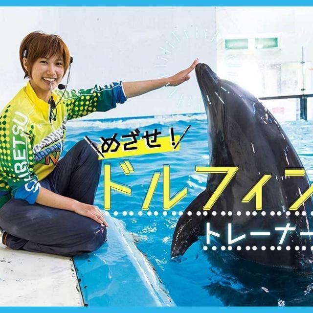 ＴＣＡ東京ＥＣＯ動物海洋専門学校 めざせ！ドルフィントレーナー1