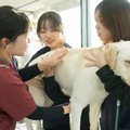 専門学校ビジョナリーアーツ 動物の看護×理学