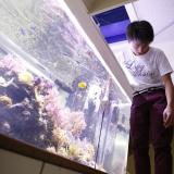 詳細を見る