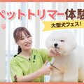 ＴＣＡ東京ＥＣＯ動物海洋専門学校 大型犬フェス！  ペットトリマー体験