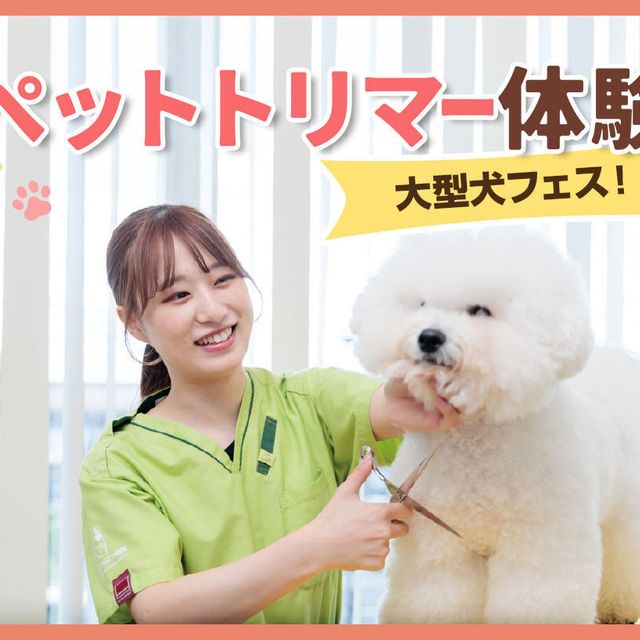 ＴＣＡ東京ＥＣＯ動物海洋専門学校 大型犬フェス！  ペットトリマー体験1