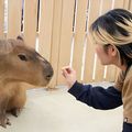 専門学校　福岡ビジョナリーアーツ 【ペット】動物達にエサやり体験