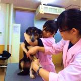 詳細を見る