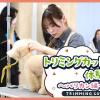 ＴＣＡ東京ＥＣＯ動物海洋専門学校 【警察犬訓練士から学ぶ！】 ドッグトレーニング