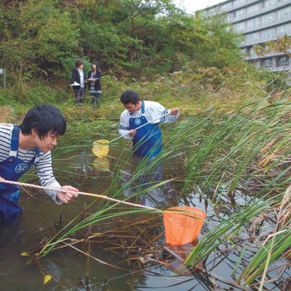 福岡工業大学 資料請求 願書請求 学校案内 スタディサプリ 進路