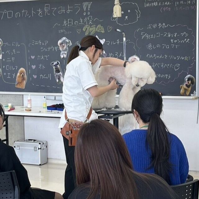 専門学校　ちば愛犬動物フラワー学園 【オープンキャンパス】5コースを自由体験♪タレント犬大集合！3