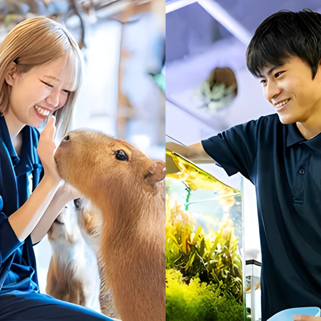専門学校　福岡ビジョナリーアーツ 【ペット】動物園×水族館 よくばり飼育員さん体験1
