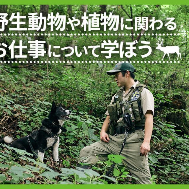 ＴＣＡ東京ＥＣＯ動物海洋専門学校 野生動物と植物に関わるお仕事について学ぼう1