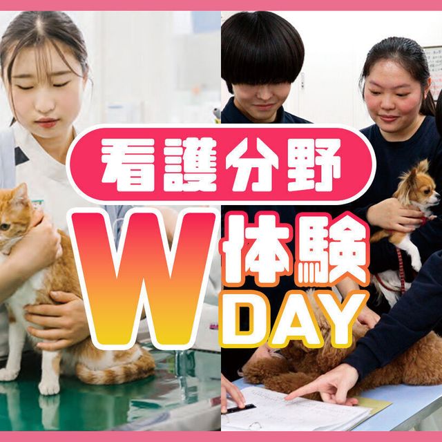 ＴＣＡ東京ＥＣＯ動物海洋専門学校 看護分野 W体験DAY！1
