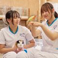 専門学校　ちば愛犬動物フラワー学園 【動物看護】小さな命を守る！エキゾチックアニマルを学ぼう！