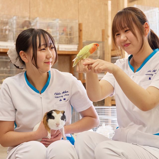 専門学校　ちば愛犬動物フラワー学園 【動物看護】小さな命を守る！エキゾチックアニマルを学ぼう！1