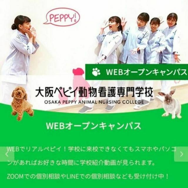 Webオープンキャンパス Web個別相談 大阪ペピイ動物看護専門学校のオープンキャンパス情報と予約申込 スタディサプリ 進路
