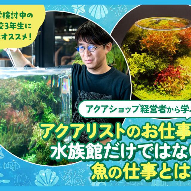 ＴＣＡ東京ＥＣＯ動物海洋専門学校 アクアリストのお仕事と水族館だけではない魚の仕事とは？1