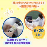 【臨床検査技師/2時間】どんな職業かな？（保護者様大歓迎！）の詳細