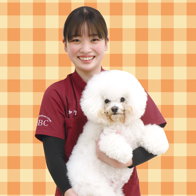 専門学校岡山ビジネスカレッジ メディカルトリマー学科｜学園犬のシャンプー＆体調確認をしよう1