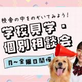 学校見学・個別相談会の詳細