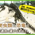 ＴＣＡ東京ＥＣＯ動物海洋専門学校 爬虫類と恐竜の共通点と違いを学ぼう