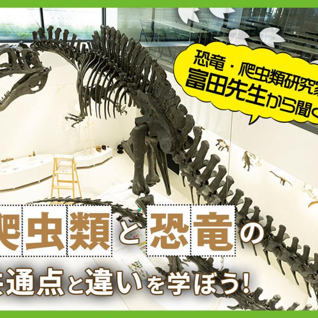 ＴＣＡ東京ＥＣＯ動物海洋専門学校 爬虫類と恐竜の共通点と違いを学ぼう1