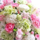 フラワーデザイン実習★春のアレンジメントを作ろう！の詳細