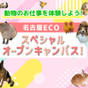名古屋ＥＣＯ動物海洋専門学校 ★スペシャルイベント★