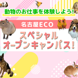 ★スペシャルイベント★の詳細