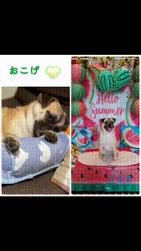 OCカメラサムネイル画像