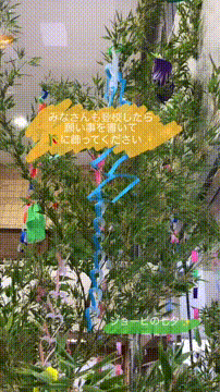 OCカメラサムネイル画像