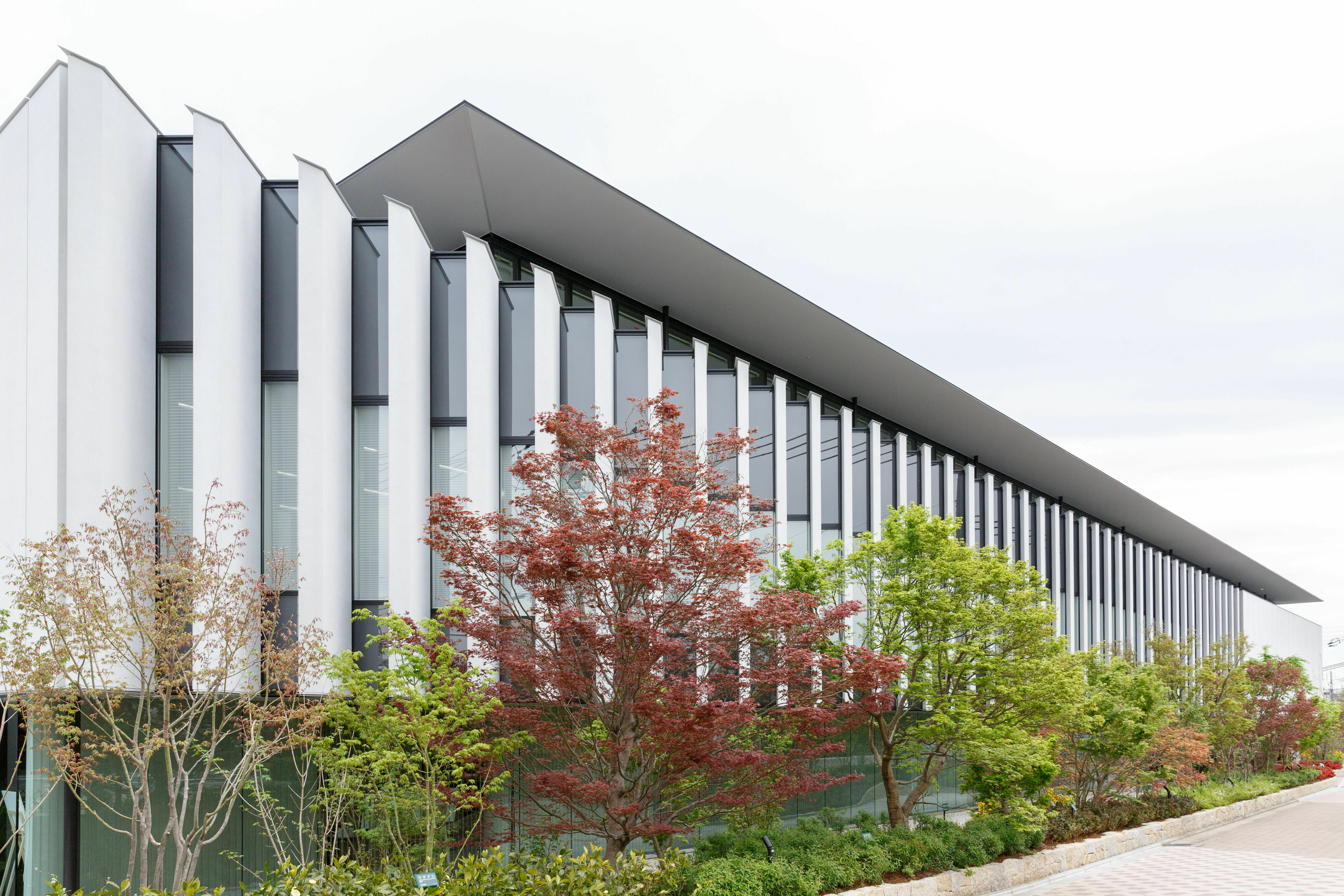 京都 美術 工芸 大学