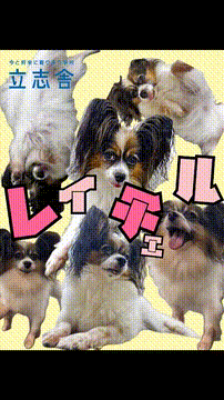 OCカメラサムネイル画像