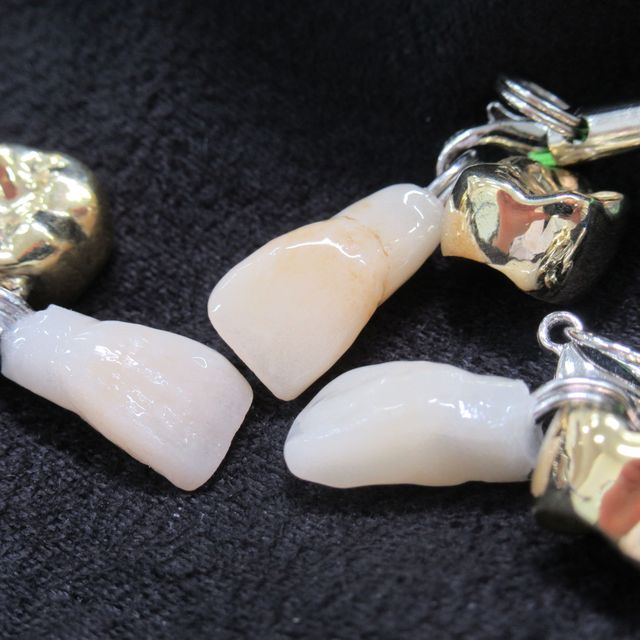 愛知学院大学歯科技工専門学校 【ライトコース】歯の色付け体験＆歯学部附属病院見学ツアー1