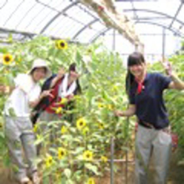 テクノ・ホルティ園芸専門学校 7月の体験入学★花づくり実習★1