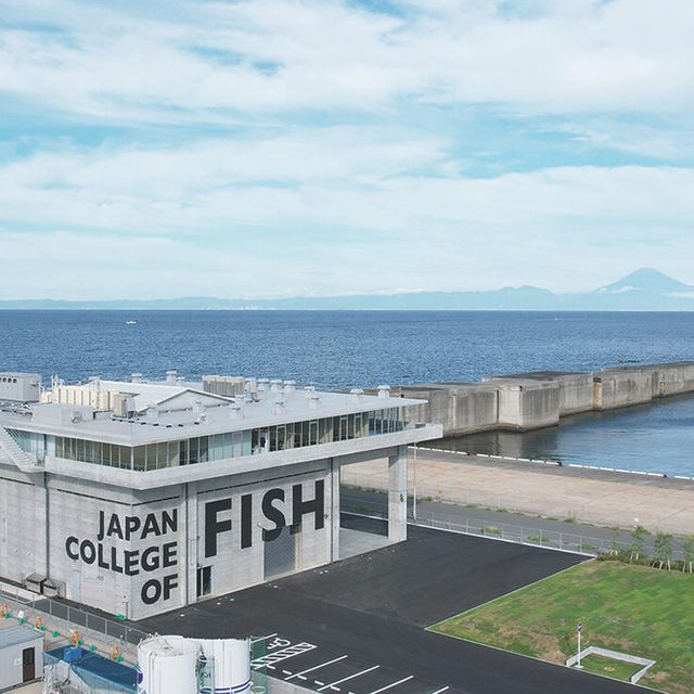 日本さかな専門学校 三崎校舎見学＆学校説明会2